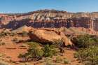 Pinyon pines and the Fluted Wall, Sunset Point, Capitol Reef National Park, Utah, USA. Art Print